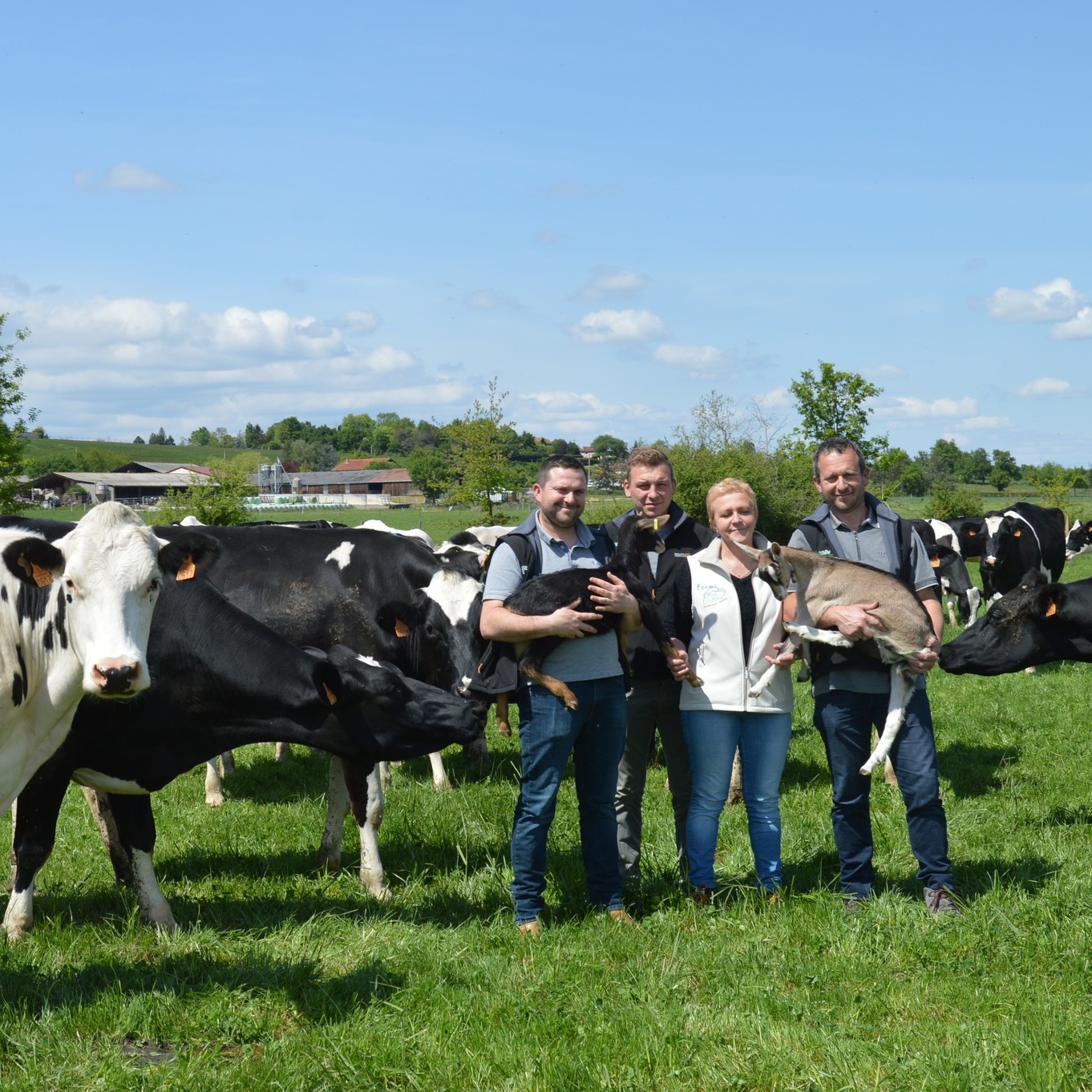agriculteur vache